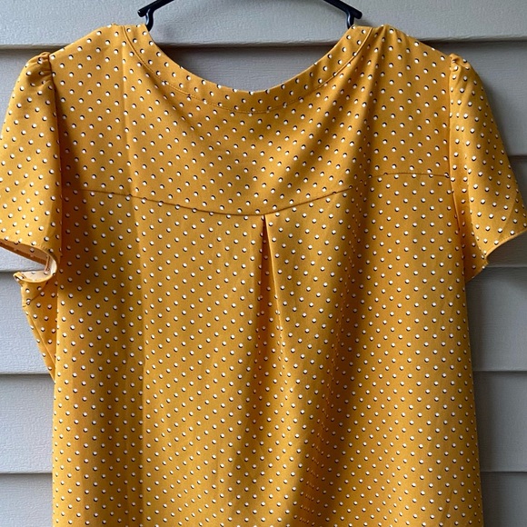 Gently Worn Hilary Radley Cool, Soft, Lightweight Short Sleeve Top w/Polkadots - Picture 15 of 16